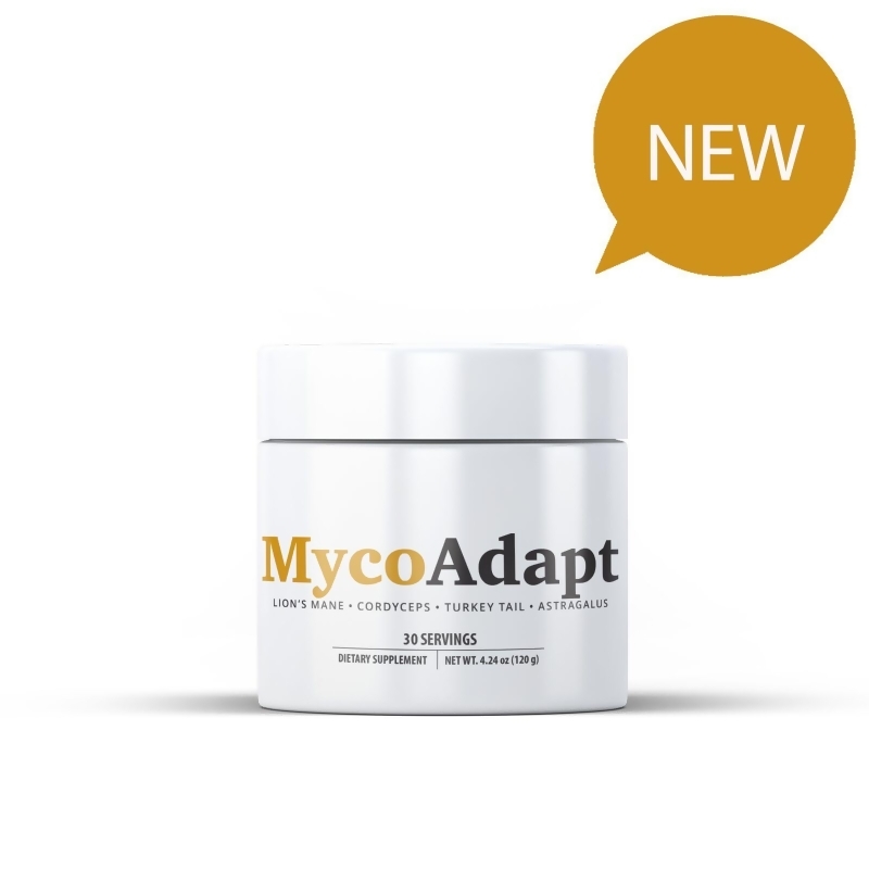 Purchase MycoAdapt with Lion's Mane, Cordyceps, Turkey Tail, and Astragalus